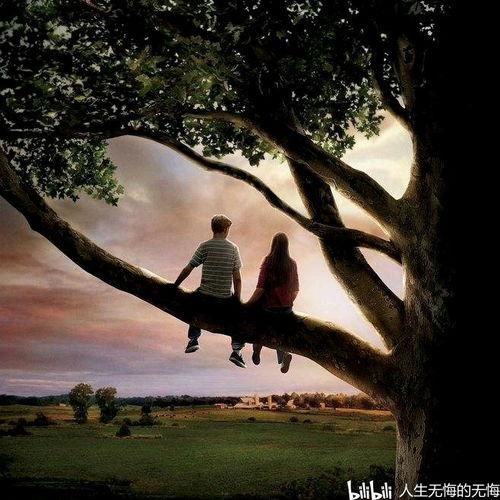 电影怦然心动在线观看,青春心跳的甜蜜旋律  第1张