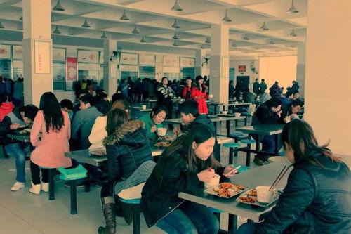 中学食堂爆料视频大全下载,爆料视频大全背后的真实饮食现状 第1张 中学食堂爆料视频大全下载,爆料视频大全背后的真实饮食现状 第1张