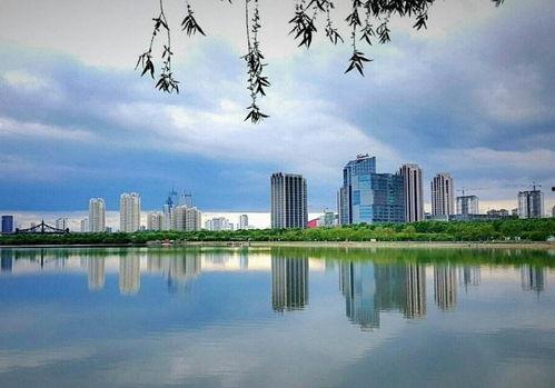 哈尔滨松北区最新爆料,揭秘神秘项目背后的真相 第3张 哈尔滨松北区最新爆料,揭秘神秘项目背后的真相 第3张